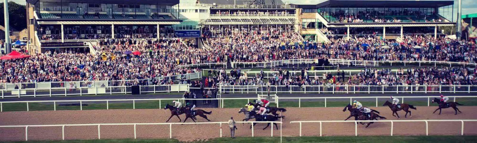 Newcastle Races | High Gosforth Park | Newcastle Racecourse