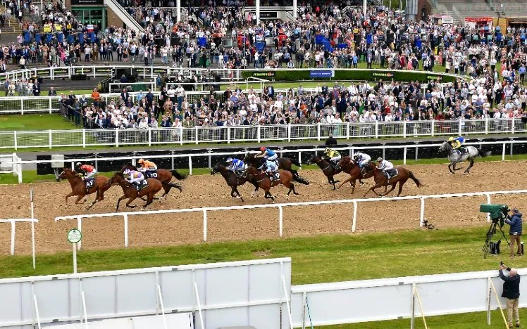 An overhead view of horses racing past the grandstand at Newcastle Racecourse